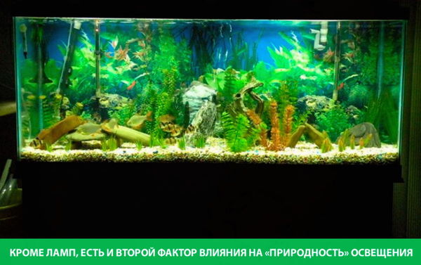 vybor-lamp-dlya-akvariuma-10