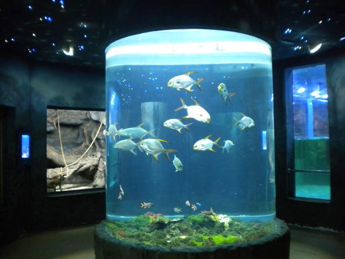 aquarium cilindr 3