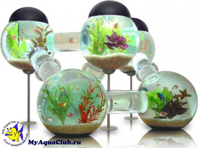 Формы аквариумов