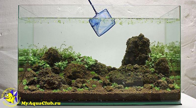 Мастер класс по созданию красивого аквариума от известного аква-дизайнера из Германии Оливера Кнотта